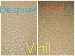 Vinil